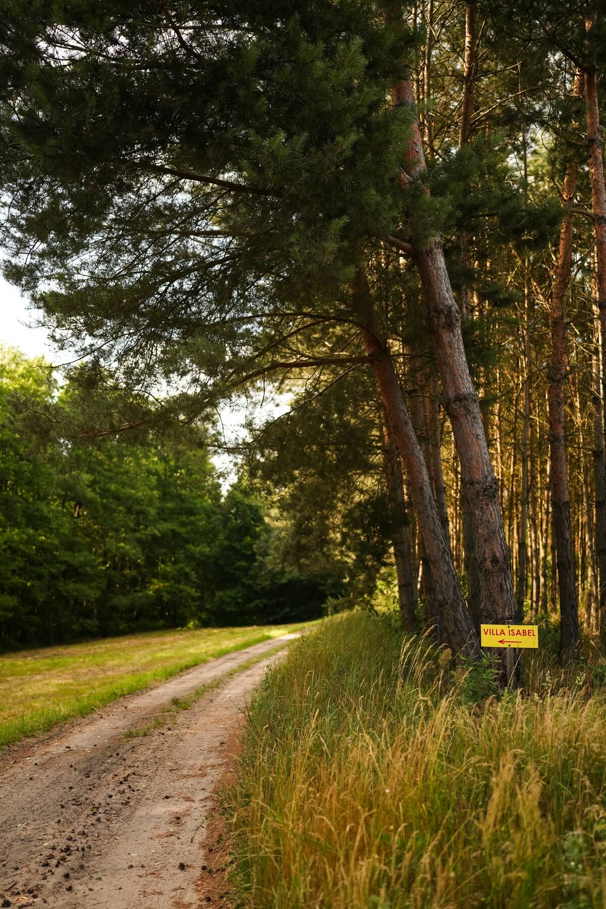 Leśna ścieżka z żółtą tabliczką prowadzącą do domku nad jeziorem