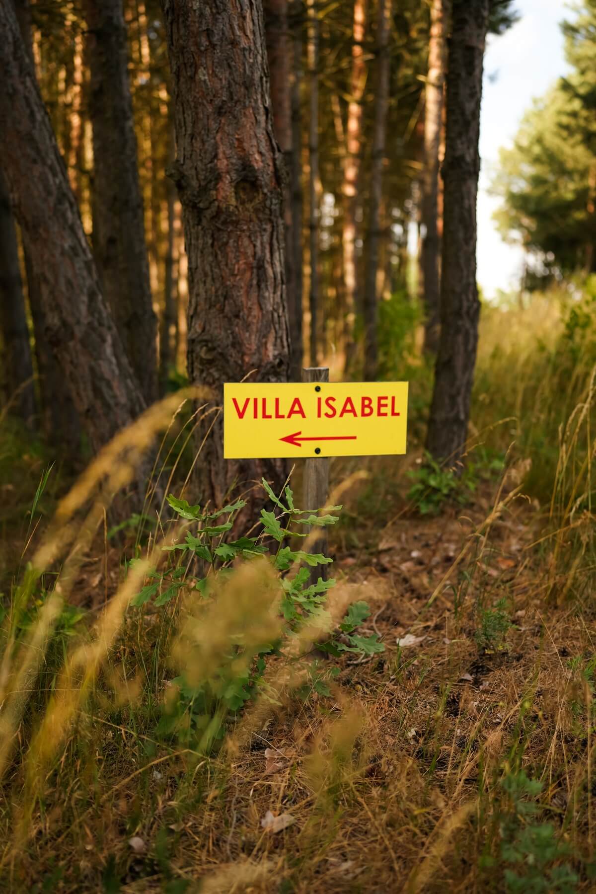 Żółta tabliczka z czerwonym napisem Villa Isabel i strzałką wbita w ziemię w lesie