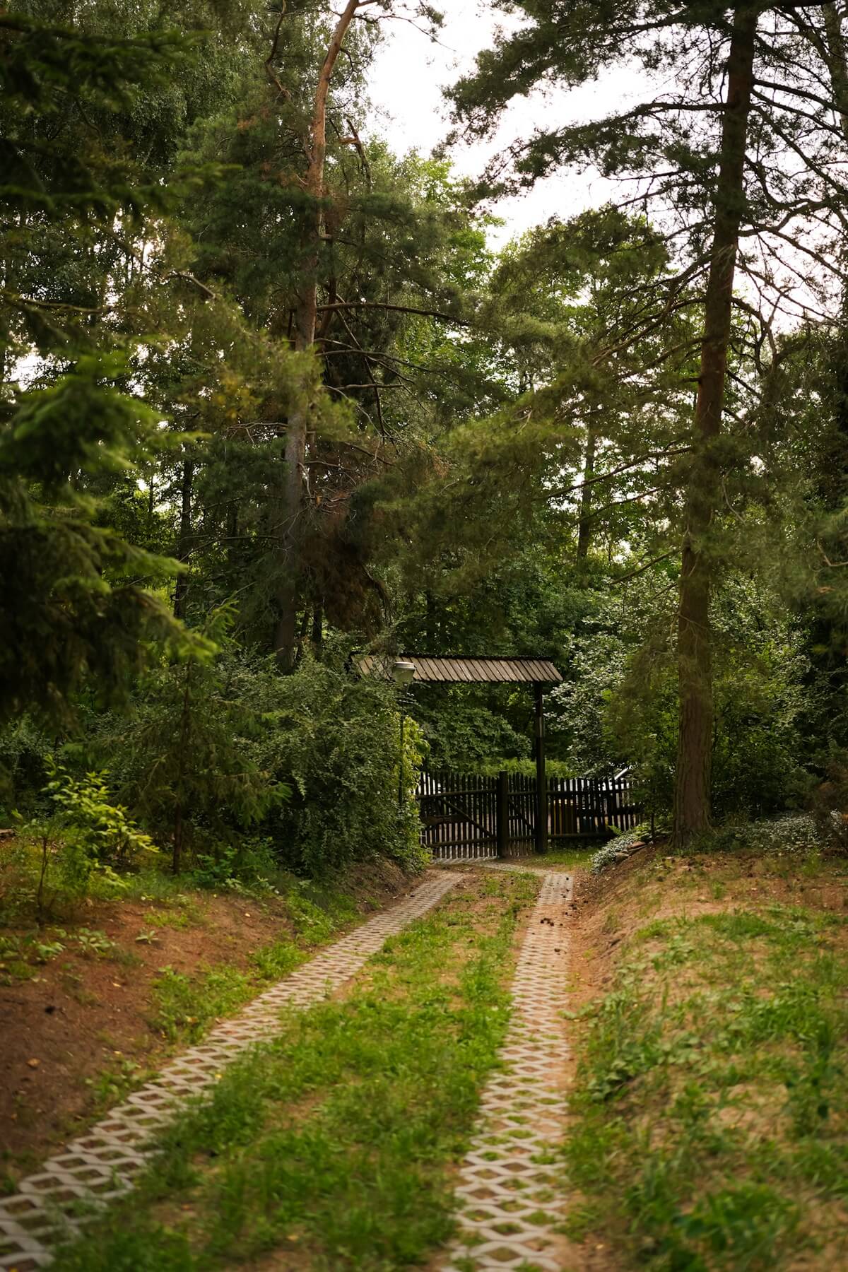 Zielona droga wjazdowa prowadząca do domku Villa Isabel